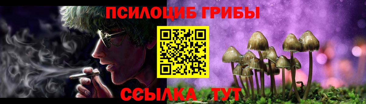 Псилоцибиновые грибы мухоморы Грозный